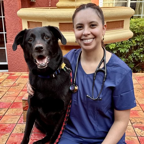 Maria Davidson, DVM, CVA