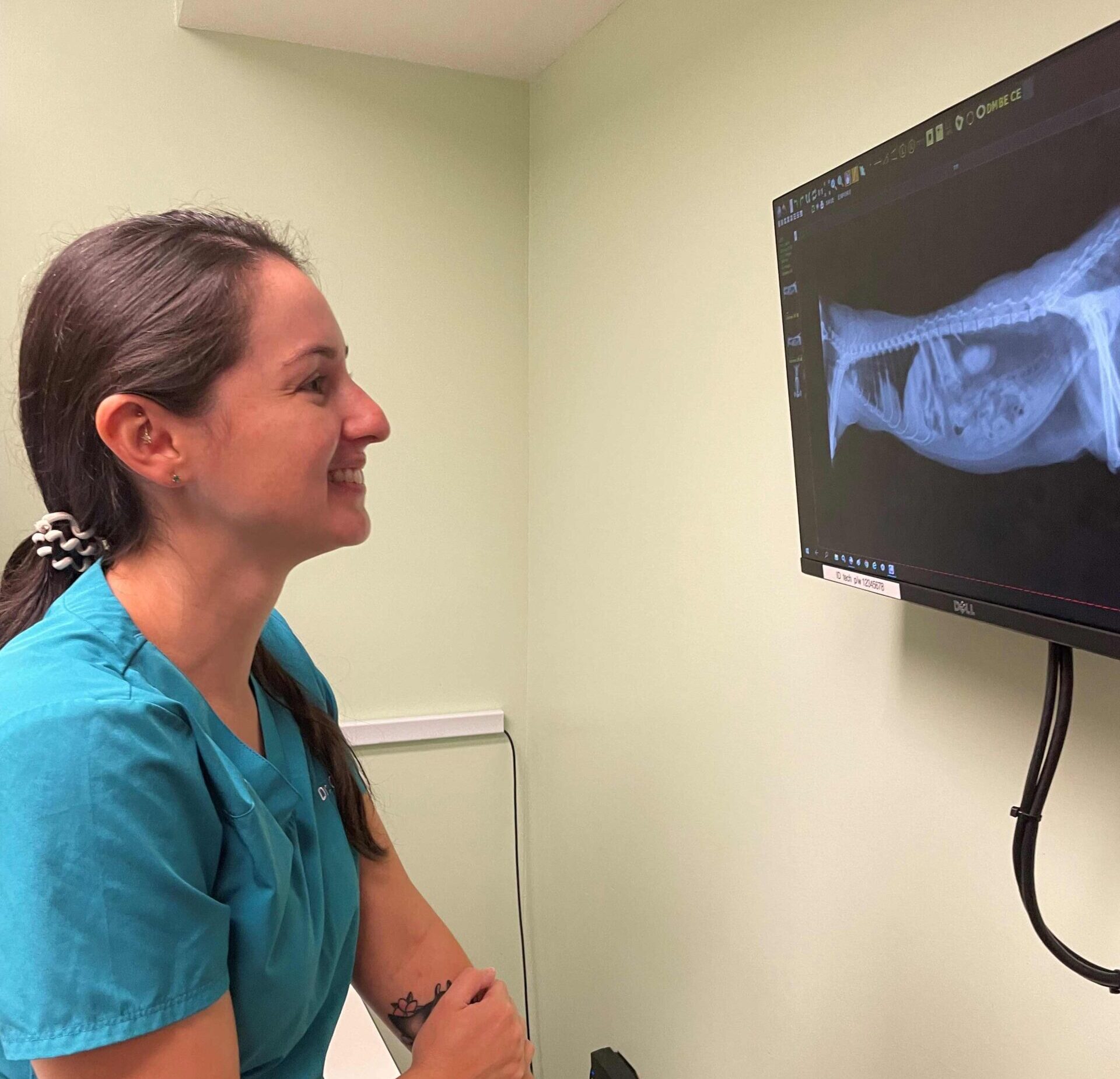 radiology